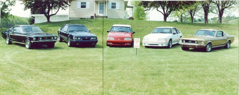 1988 mustang gt. 1988 Mustang GT